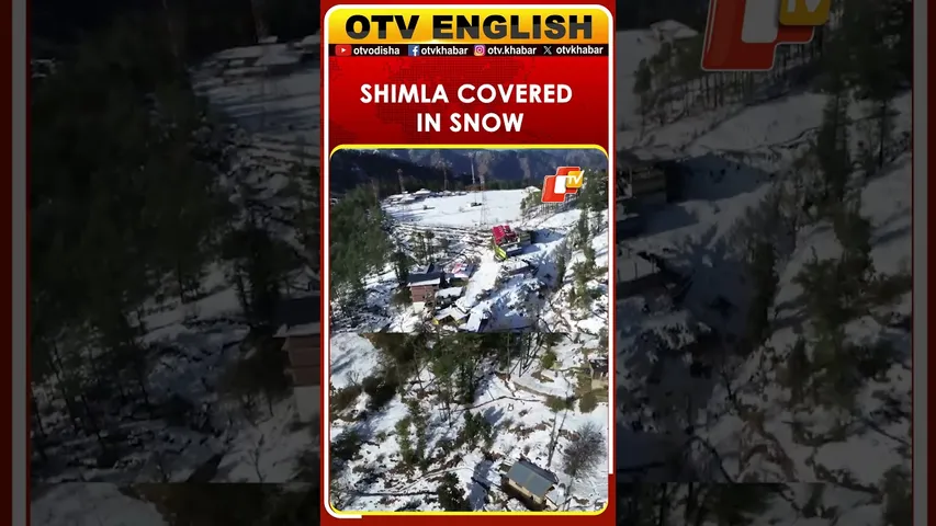 Himachal Pradesh: Shimla City Covered In Thick Snow From Drone | OTV