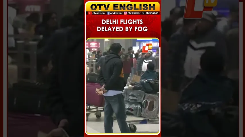 Delhi Flights Delayed: Cold Waves & Fog At IGI Airport
