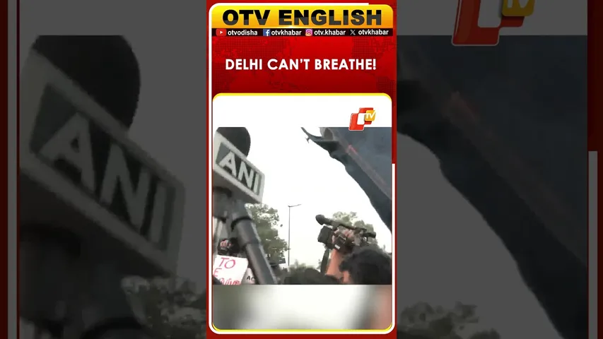 Voices Rise For Clean Air: Citizens Rally Against Pollution At India Gate  | OTV
