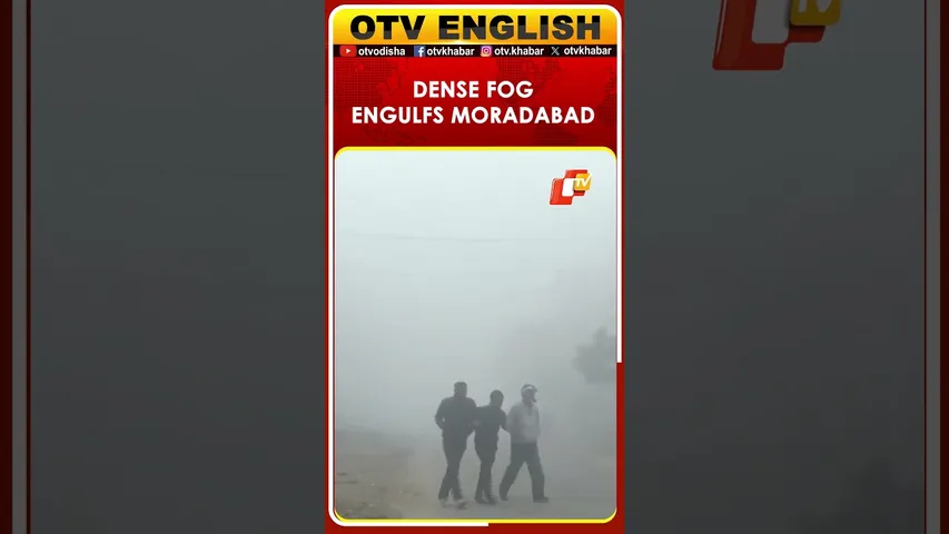 Dense Fog And Cold Wave Engulf Moradabad City