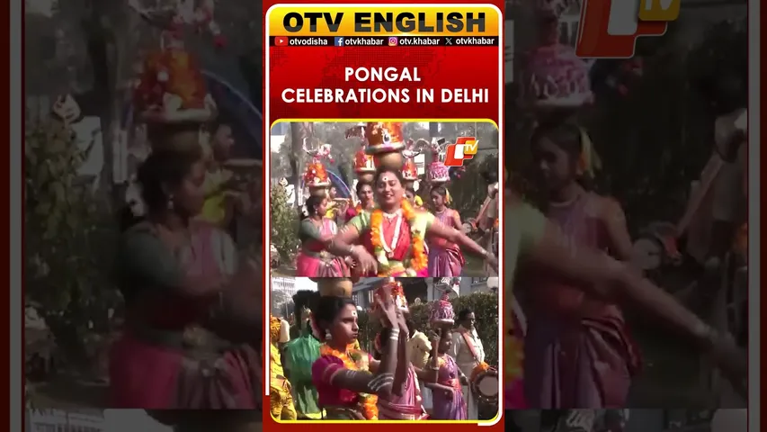 Pongal Celebrations By Tamil Nadu Government At Tamil Nadu House In Delhi