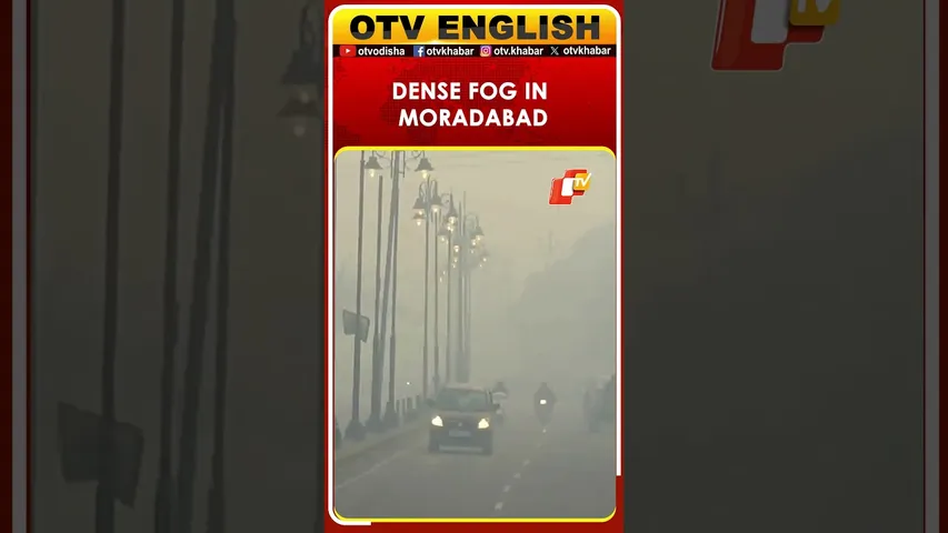 Dense Fog Blankets Uttar Pradesh’s Moradabad