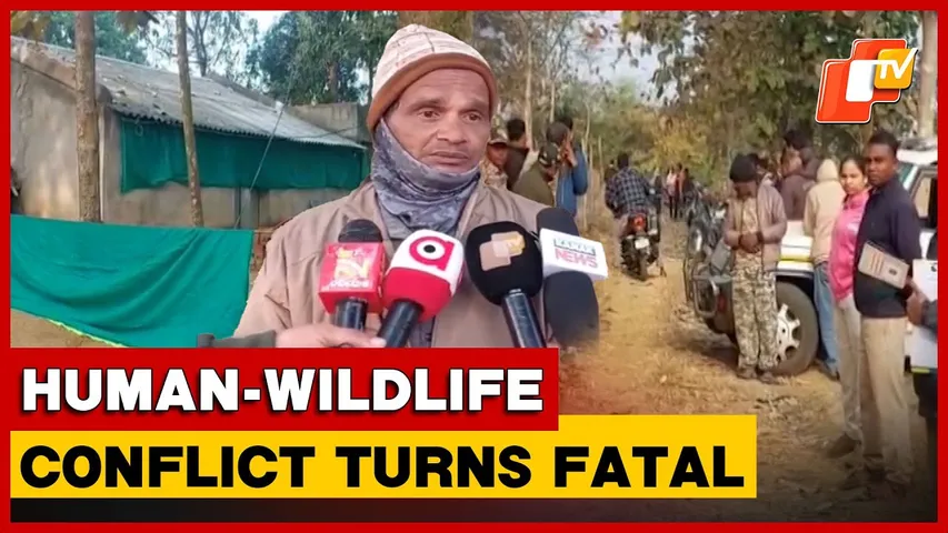 Leopard Strays Into Narsinghpur Farmhouse, Youth Injured In Fatal Encounter