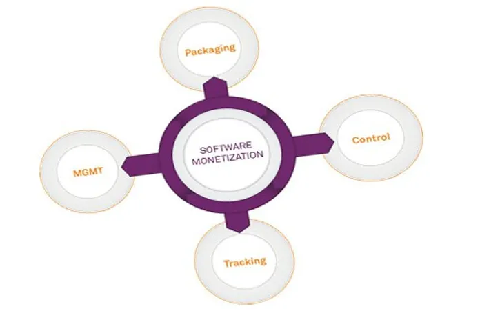 Software Monetization