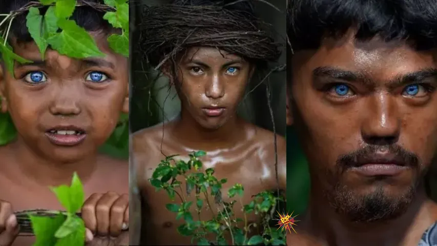 The Buton Tribe's Electric Blue Eyes: A Rare Genetic Story
