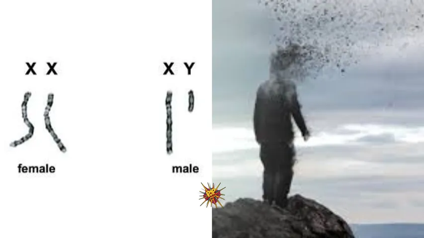 Males to Vanish from Earth? Study Reveals