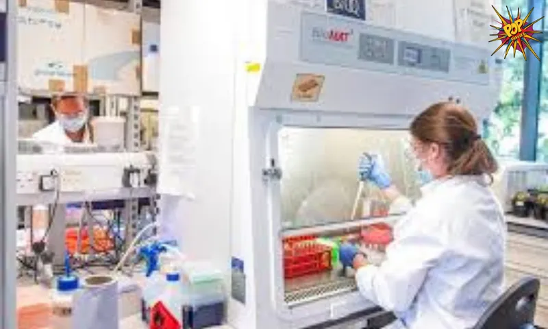 Needle-free vaccine patches coming soon, say, researchers and makers!! Click to read more!!