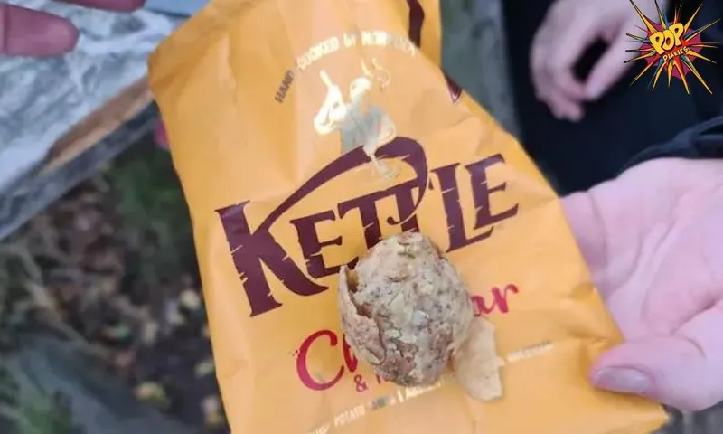 Viral Image: The man in US found a whole potato in the chips bag, see the viral photo!