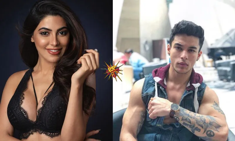Pratik Sehajpal Sings Romantic Song For Nikki Tamboli? Actress Blushes In the Viral Video!￼