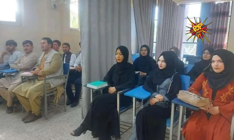‘Curtain of Separation’: This is how Afghanistan Universities Will Now Proceed