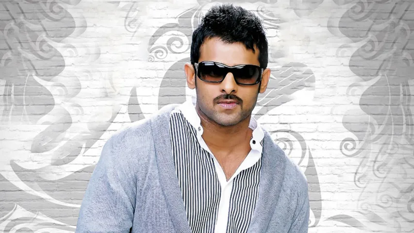 mr perfect