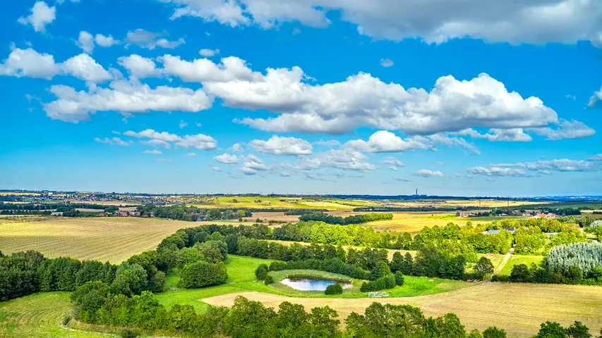 land
