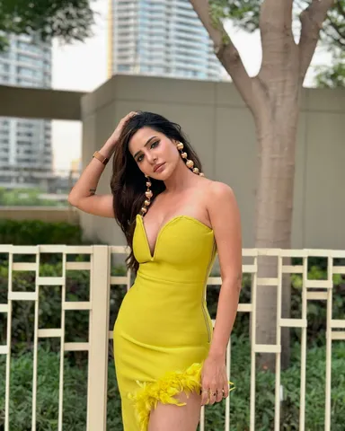 ashu 66