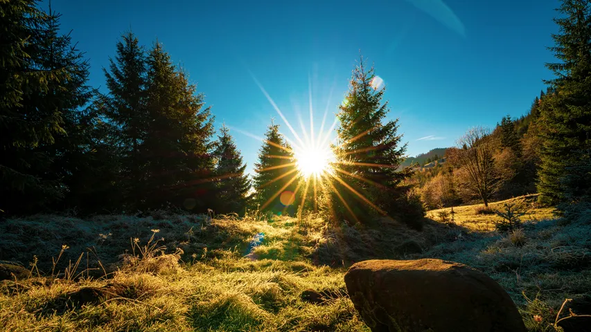 Sunlight