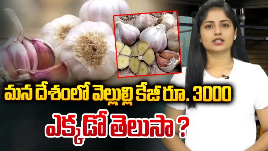 Super Garlic