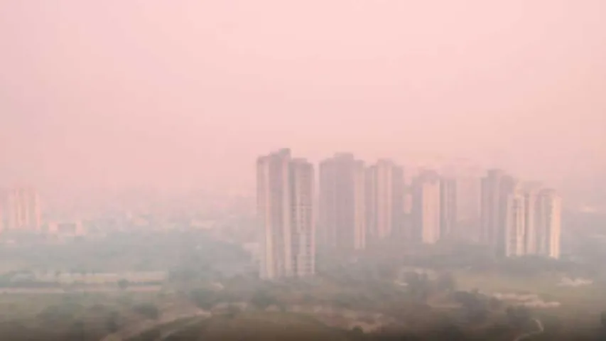 delhi