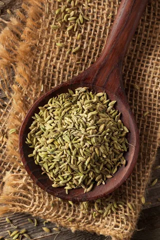 raw-organic-fennel-seed-2023-11-27-05-25-54-utc (1)