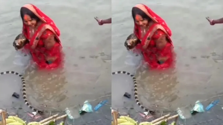 video viral