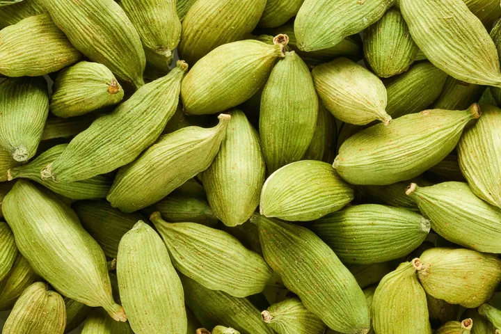 Cardamom plants7