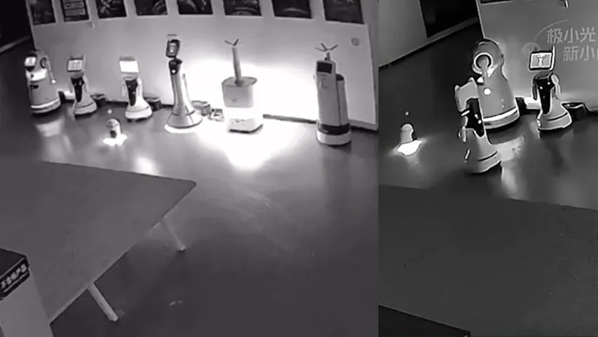 Robot Kidnaps