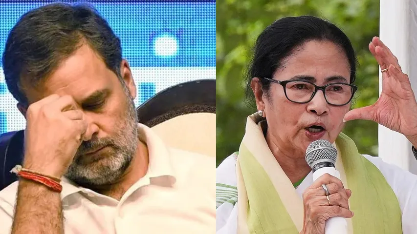 Rahul mamata
