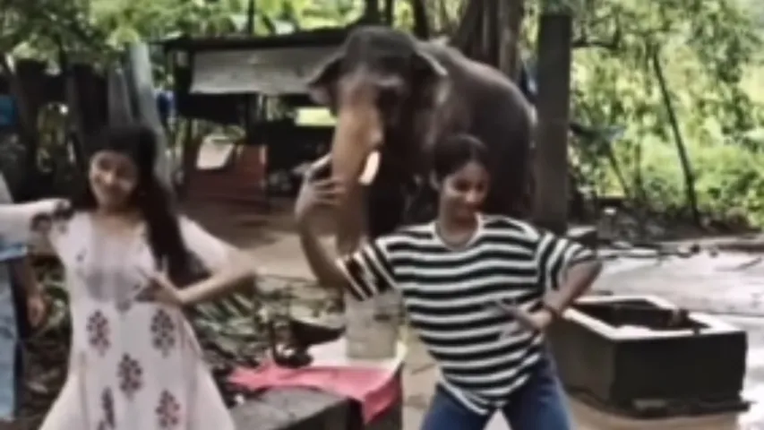 Viral Video.