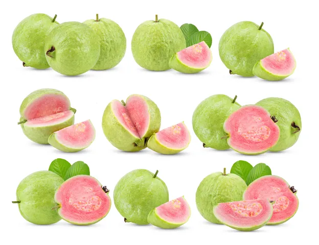 Guava3