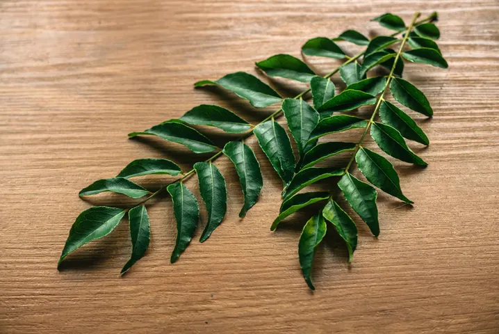 curryleaves1
