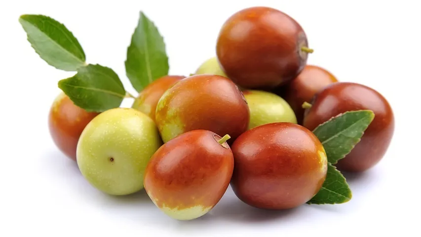 Jujube Fruit