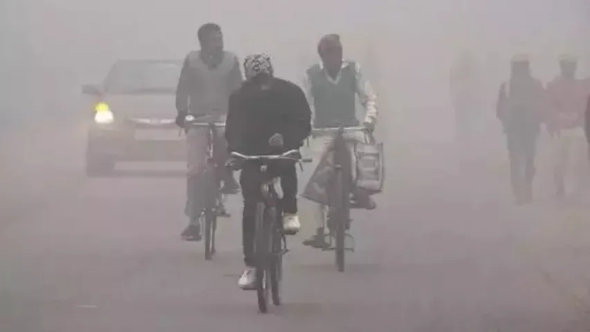 Cold 