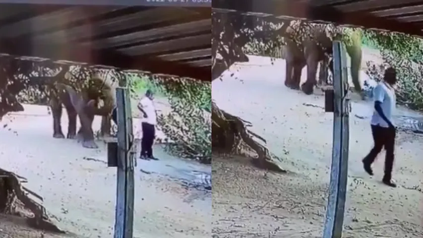 Viral Video.1