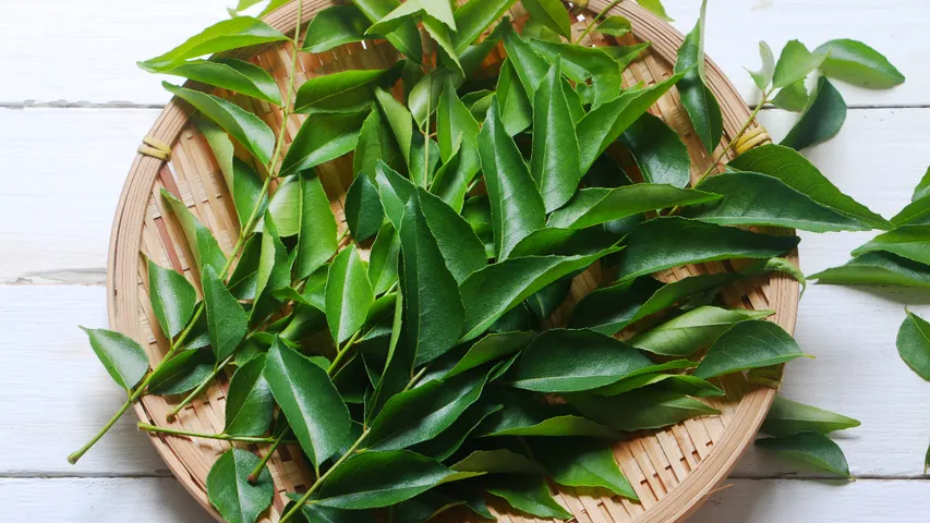 cURRY LEAVES