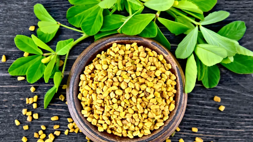 Fenugreek seeds