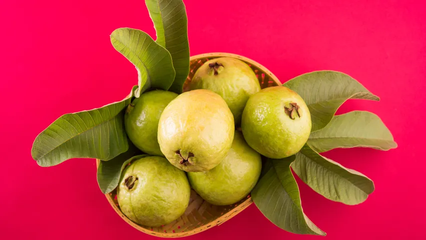 Guava