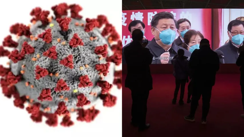 China'sHMPV Virus