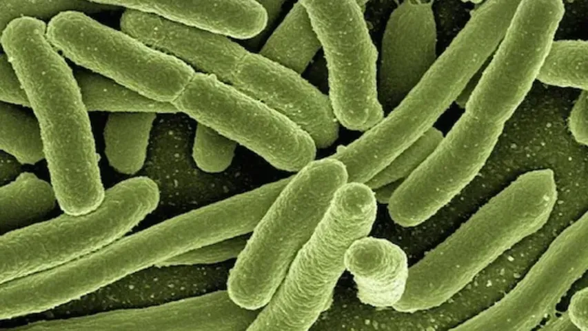 China HMPV Virus