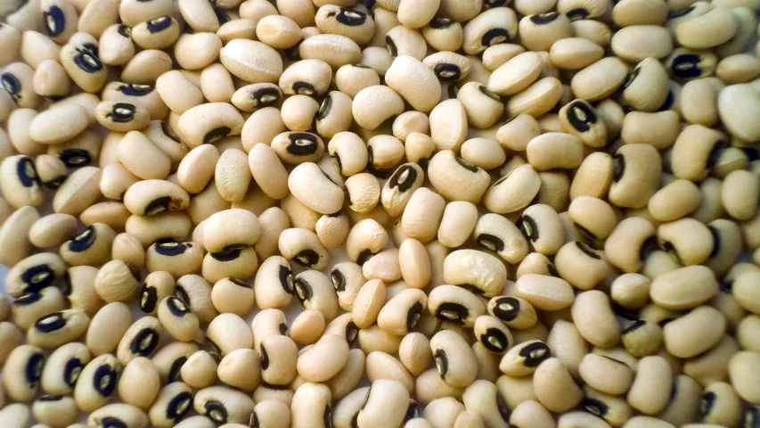 Black-eyed pea