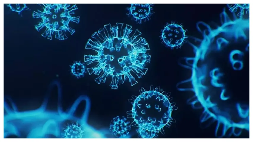 virus hmpv