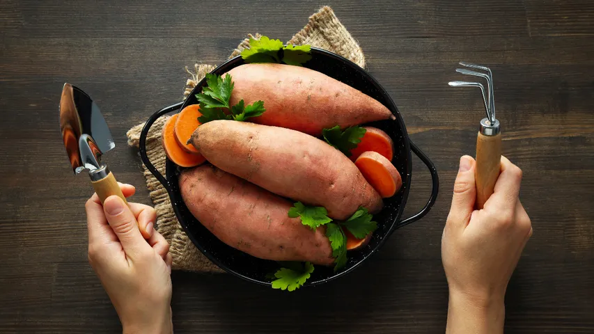 Hot Sweet Potato