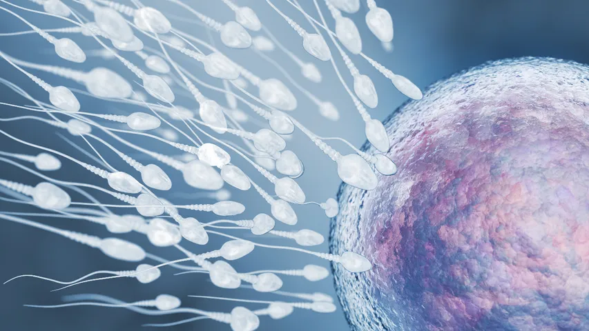 Sperm Count