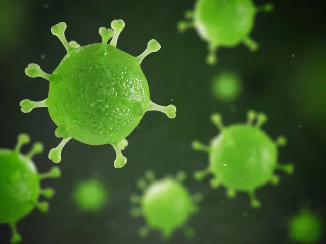 HMPV virus  