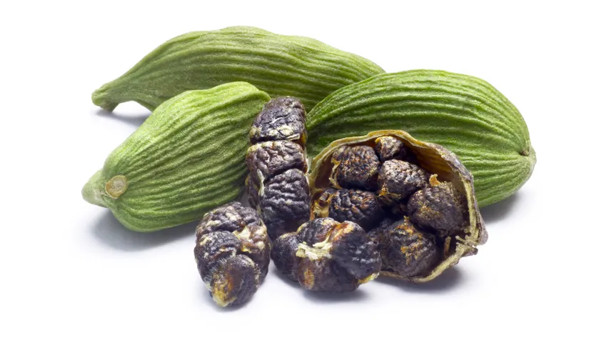Black cardamom