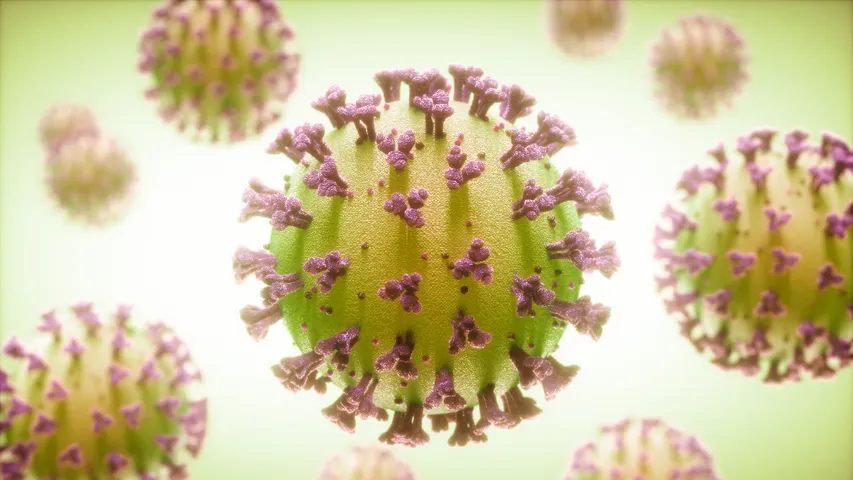 HMPV Virus body