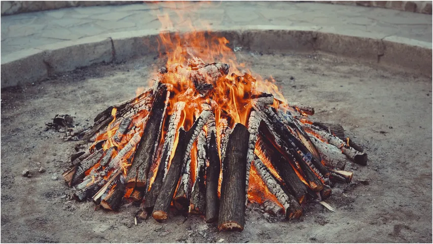 bhogi
