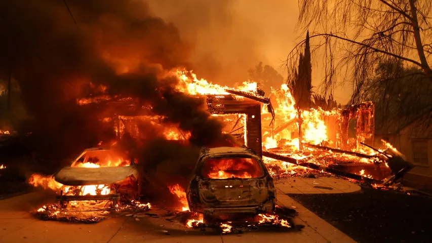 Wild Fire