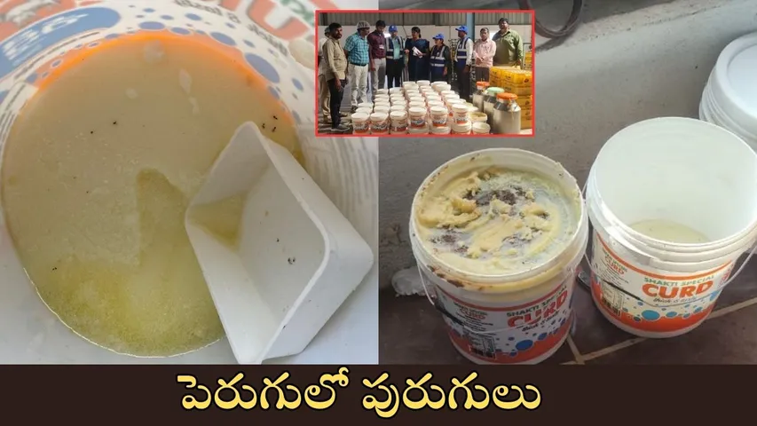 Jangaon raghunathpally shakti milk and milk products inspection by State level Task Force team