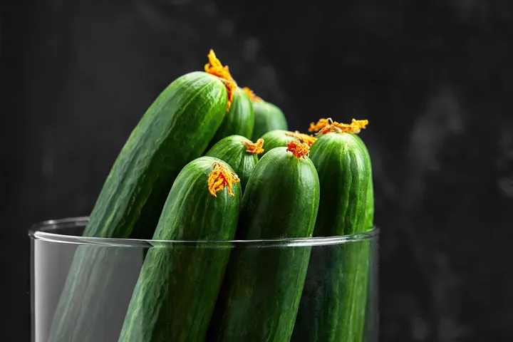 Cucumber