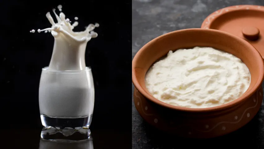 Curd 