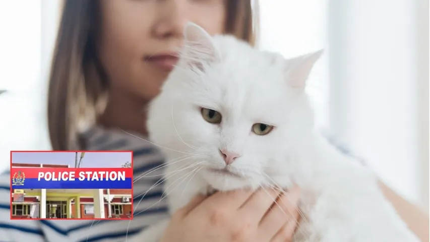 Nalgonda Woman Files Police Complaint Over Cat missing.