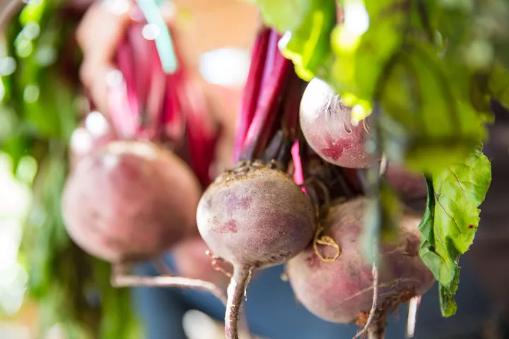 Periods Beetroot